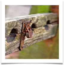 BY 4 - Lymm Stocks - Chris Beesley